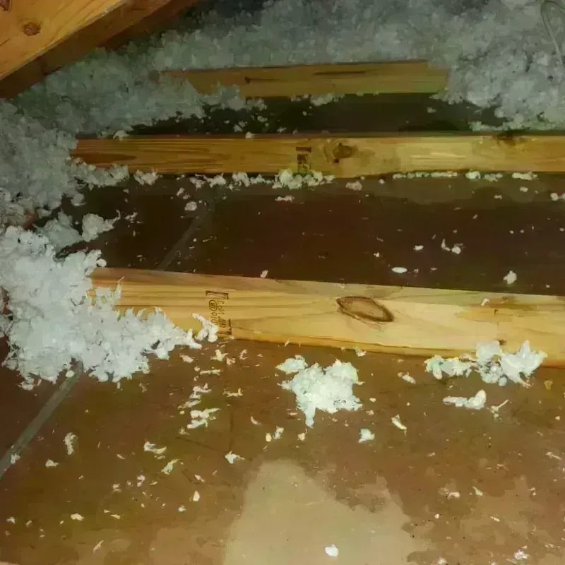 Attic Water Damage in Magnolia, TX